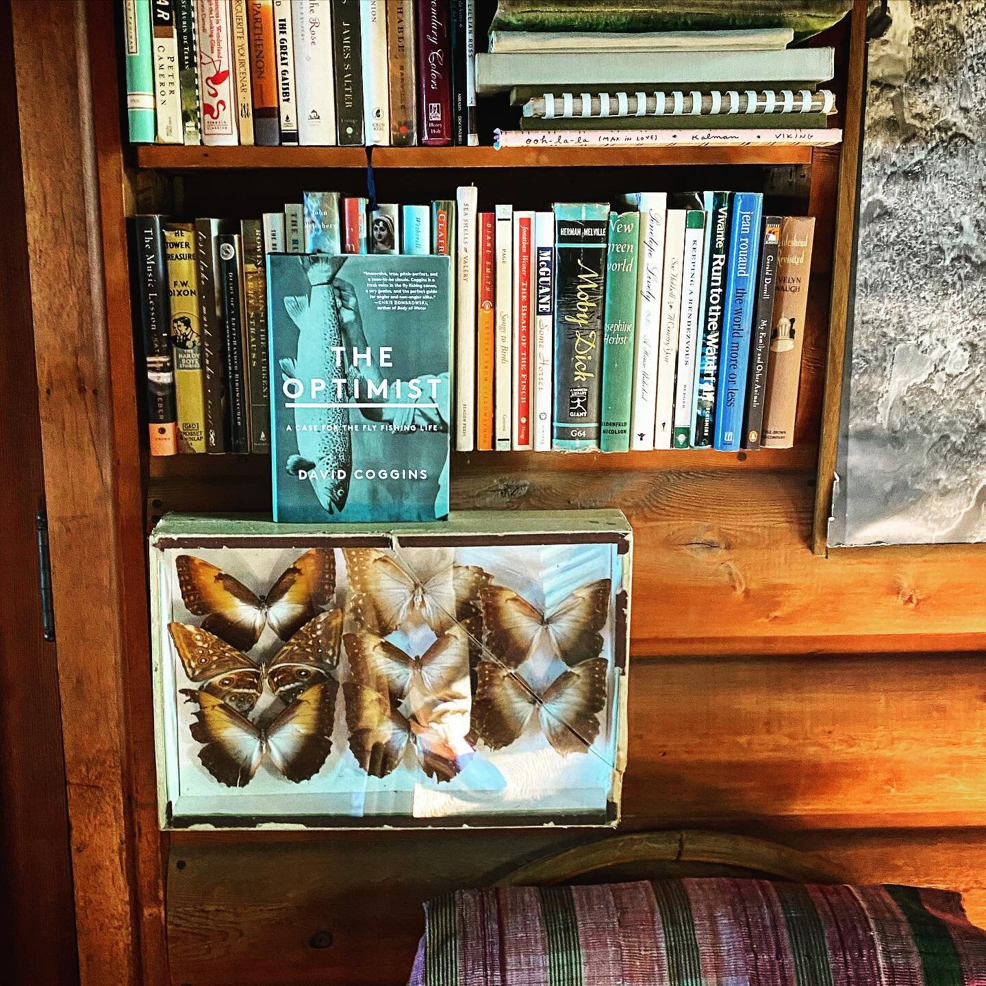 Hey now! Signing copies of &ldquo;The Optimist&rdquo; this Thursday, Aug. 19, 5-7pm at the great @mendprovisions in my hometown, Minneapolis. Come say hello!